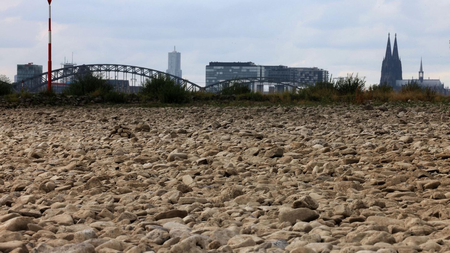 Wasserentnahme aus Bächen verboten Ausgetrockneter Rhein in Köln