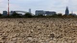 Ausgetrockneter Rhein in Köln