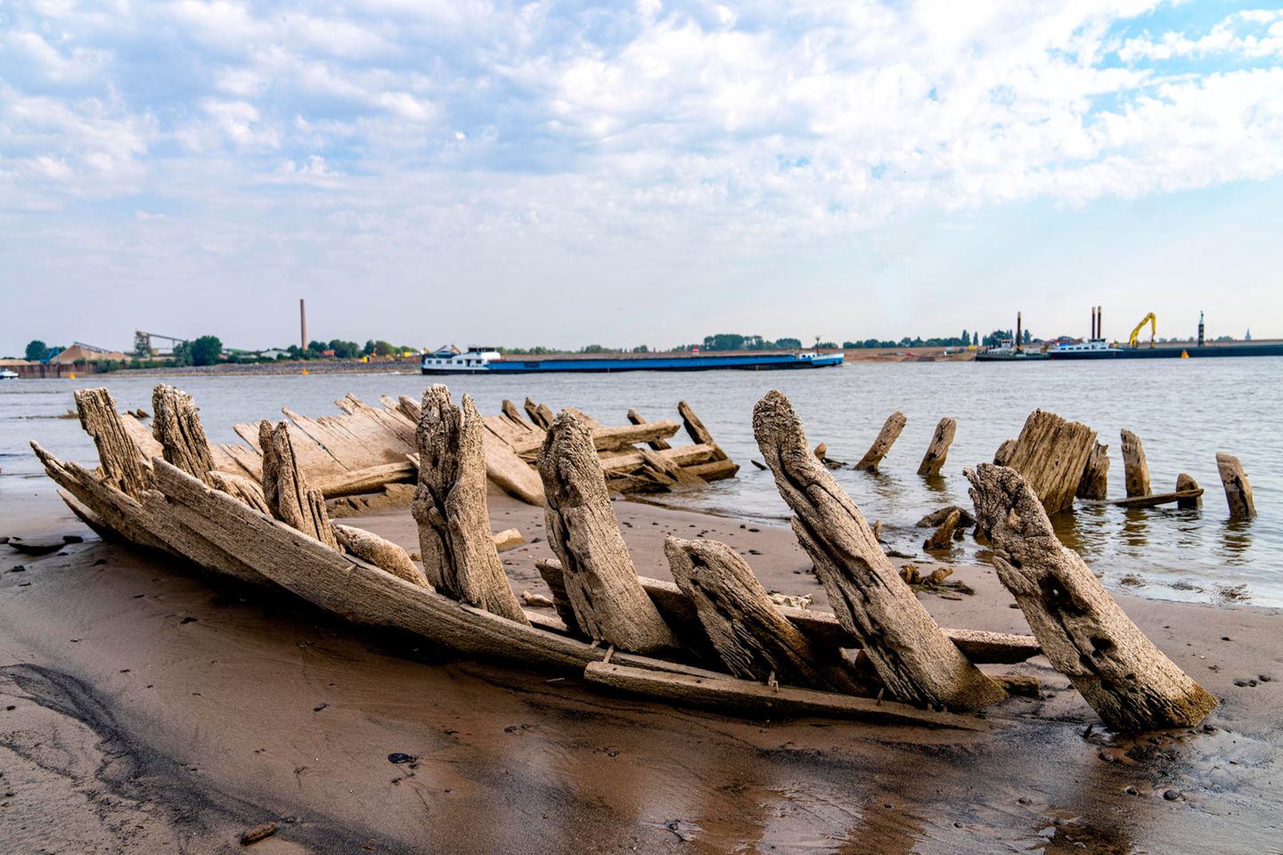 Pegelstände im Rhein liegen unter dem Niveau von 2018 Durch das Niedrigwasser wird auf dem Rhein bei Kleve ein Wrack freigelegt