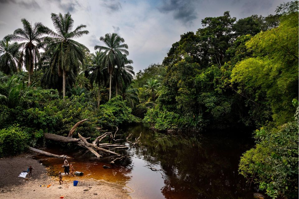Im Kongobecken nahe der Stadt Kisangani durch­ziehen Flüsse und Flüsschen den tropischen Regenwald. Im flachen Wasser badet eine Familie, wäscht Kleidung, Geschirr –und ist der Gefahr ausgesetzt, sich mit dem Erreger der Flussblindheit zu infizieren