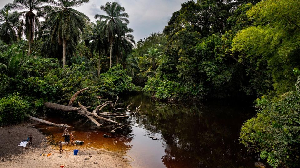 Im Kongobecken nahe der Stadt Kisangani durch­ziehen Flüsse und Flüsschen den tropischen Regenwald. Im flachen Wasser badet eine Familie, wäscht Kleidung, Geschirr –und ist der Gefahr ausgesetzt, sich mit dem Erreger der Flussblindheit zu infizieren