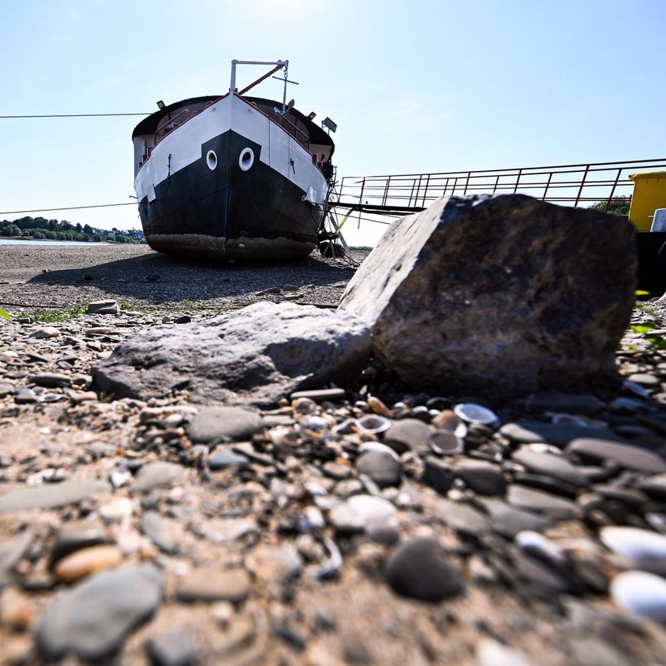 Trockengefallen liegt ein Schiff zwischen den Buhnen am Rhein bei Düsseldorf. Der Fluss wird in den kommenden Tagen immer weniger Wasser führen