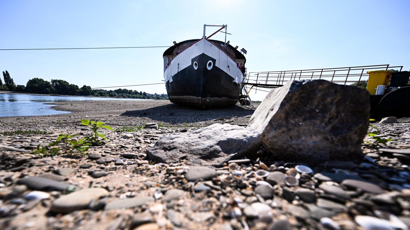 Trockengefallen liegt ein Schiff zwischen den Buhnen am Rhein bei Düsseldorf. Der Fluss wird in den kommenden Tagen immer weniger Wasser führen