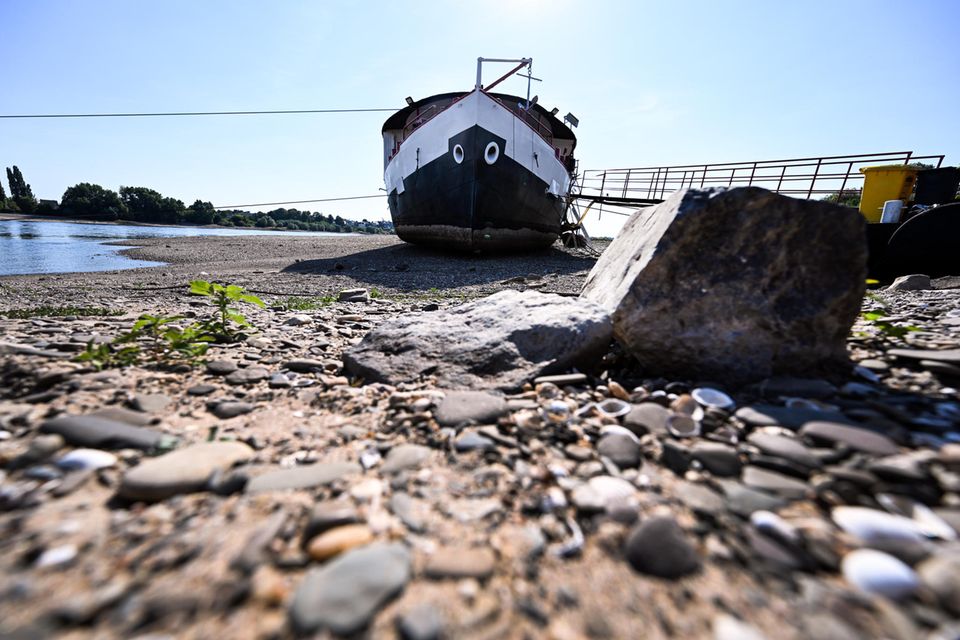 Trockengefallen liegt ein Schiff zwischen den Buhnen am Rhein bei Düsseldorf. Der Fluss wird in den kommenden Tagen immer weniger Wasser führen