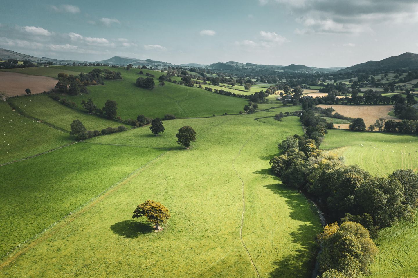 Grün, grüner, Powys Luftaufnahme der Region Powys in Wales