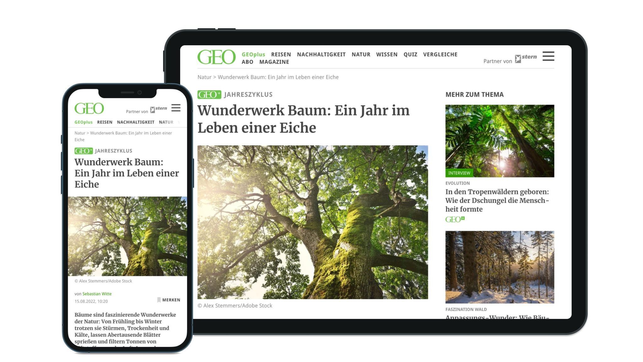 Tipps für die Nutzung - [GEO]