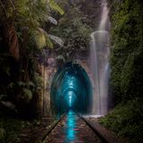 Auch dieses Foto kam nur durch genaue Planung zustande, denn der Wasserfall ist normalerweise versiegt. Aber starke Regenfälle lassen ihn gelegentlich sprudeln. So war die Fotografin bei Unwetter vor Ort. Der alte Bahnhof wurde Anfang des 20. Jahrhunderts stillgelegt. Mittlerweile bevölkern Millionen von Glühwürmchen den Tunnel. Eine märchenhafte Komposition von Josselin Cornou. Sie gewinnt den zweiten Platz in der Kategorie "Urban Wildlife".