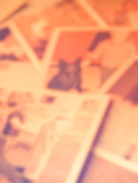 Erinnerungstrigger aus der Vergangenheit können Pflegende und Angehörige dabei unterstützen, Kontakt zu  Demenzkranken herzustellen , denn sie können den Kontakt zu intakten Gedächtnisinhalten bahnen 