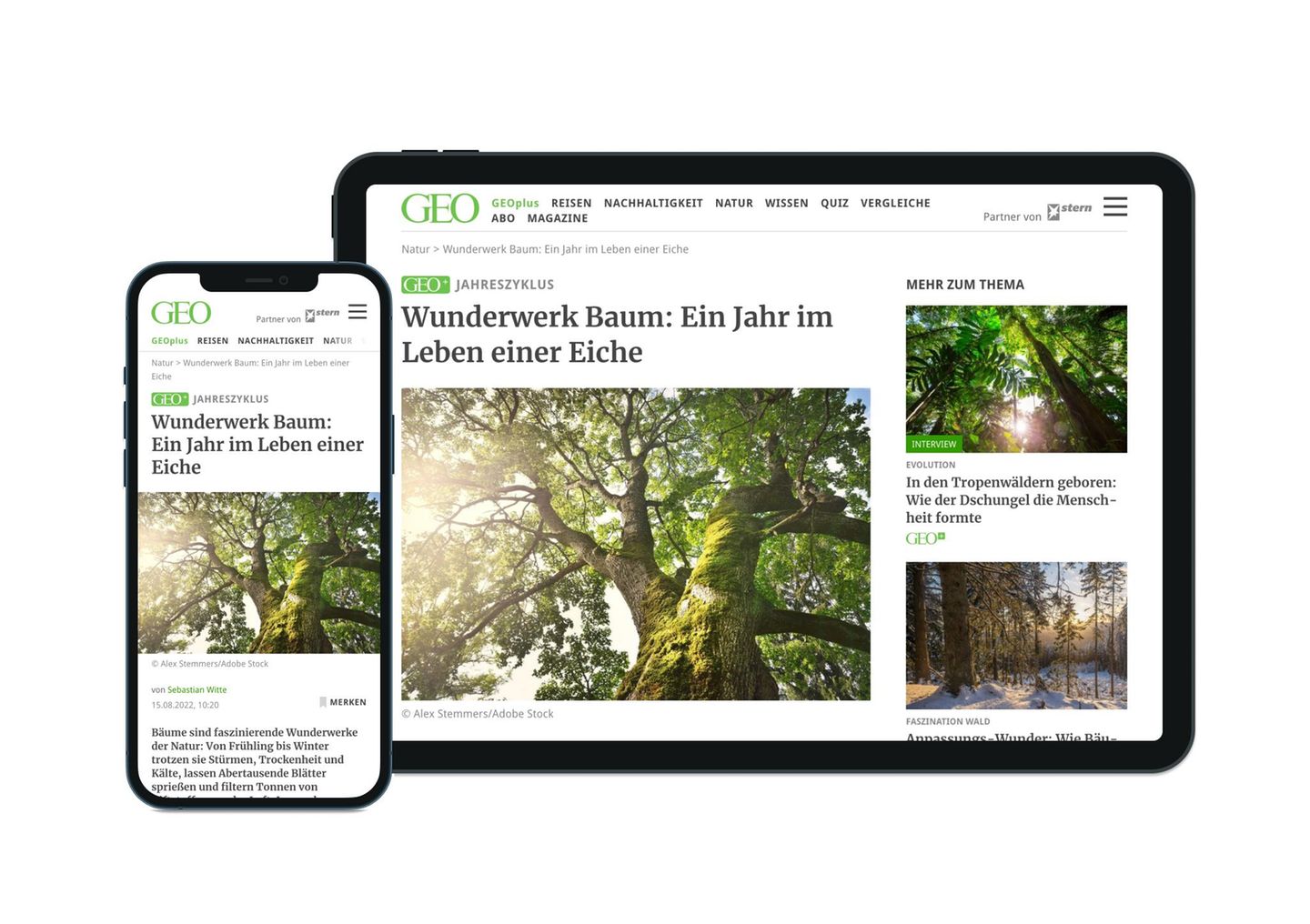 In eigener Sache: Neuer Look: Wie Sie GEOplus künftig nutzen können