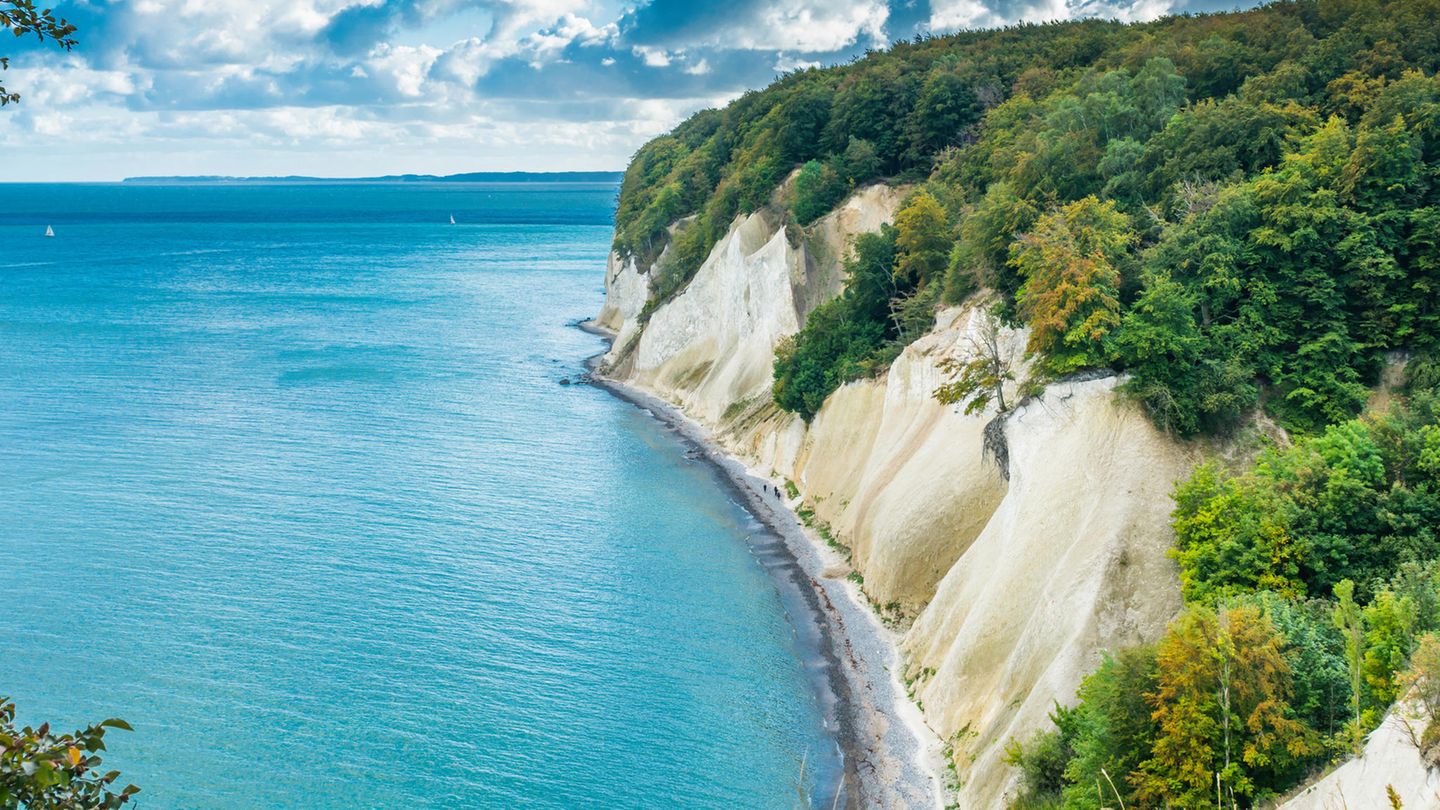 Kreideküste und majestätischer Buchenwald: Blick vom Hochufer auf die Ostsee im Nationalpark Jasmund auf Rügen, Mecklenburg-Vorpommern 