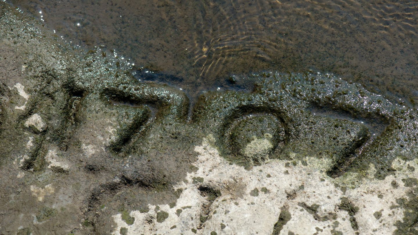 Ein Hungerstein mit der Jahreszahl 1707 in der Elbe bei Pirna-Oberposta, Sachsen (Archivbild vom 11.8.2015)