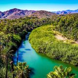 Türkisfarbener Fluss, der sich durch ein grünes Ufer schlängelt