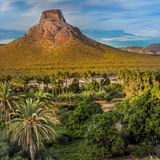 Vulkan mit Palmen im Vordergrund