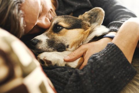 Ein Hund liegt in den Armen eines Mannes