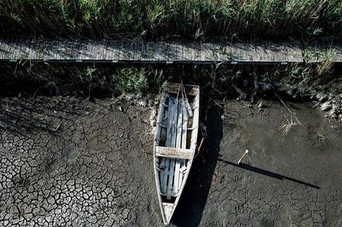 Viele Regionen Europas sind seit Anfang des Jahres von einer schweren Dürre betroffen. Foto: Uncredited/AP/dpa