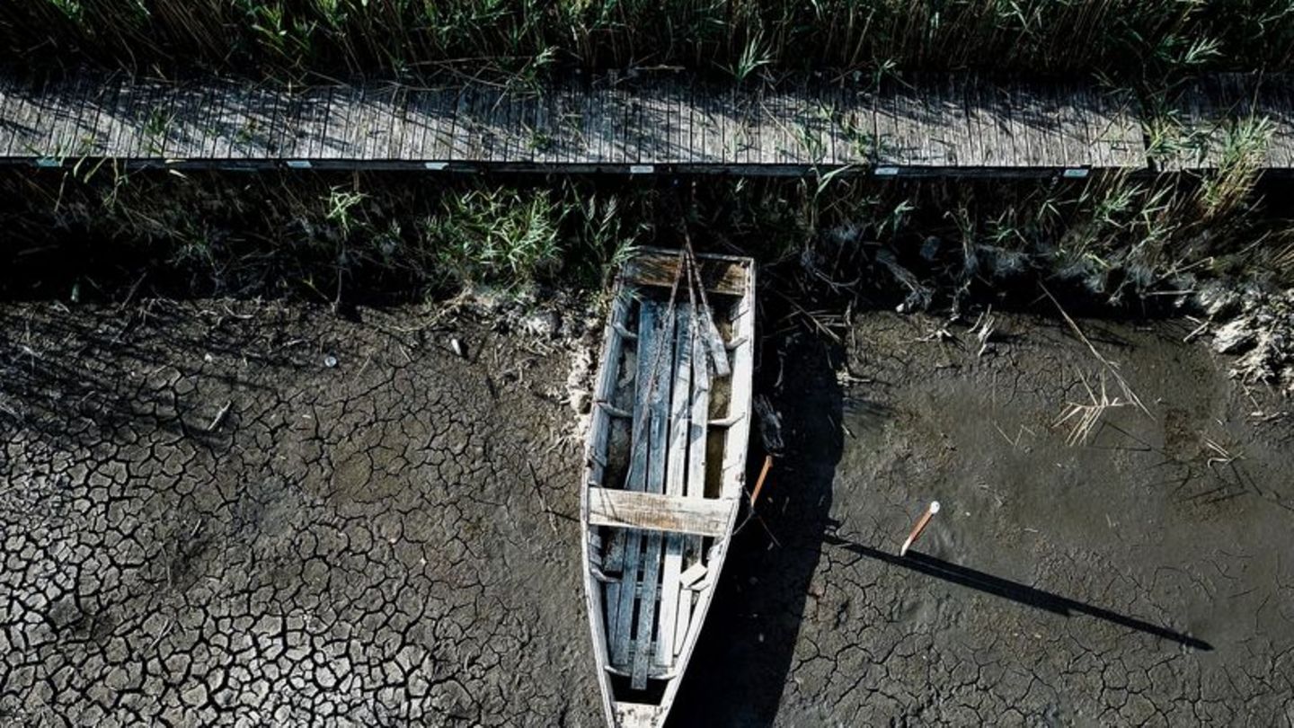 Viele Regionen Europas sind seit Anfang des Jahres von einer schweren Dürre betroffen. Foto: Uncredited/AP/dpa