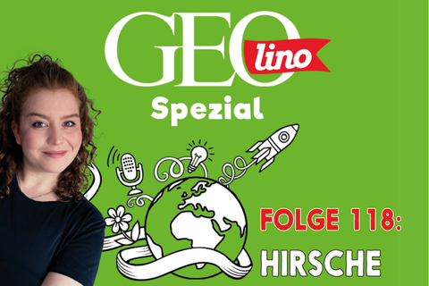 In Folge 118 unseres GEOlino-Podcasts geht es um Hirsche