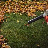 Ein Laubbläser entfernt Laub auf Rasen