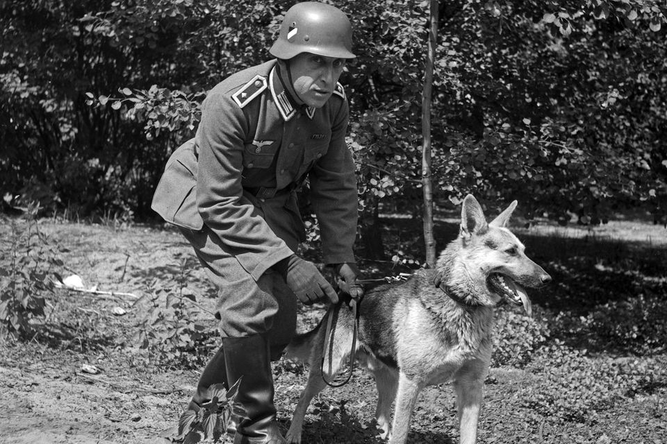 Soldat mit Schäferhund