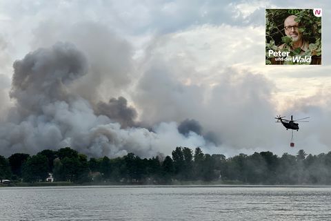 Ein Löschhubschrauber über einem See vor einer Rauchwand des Waldbrandes bei Treuenbrietzen
