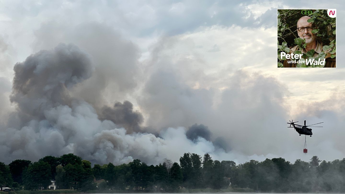 Ein Löschhubschrauber über einem See vor einer Rauchwand des Waldbrandes bei Treuenbrietzen
