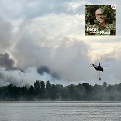 Ein Löschhubschrauber über einem See vor einer Rauchwand des Waldbrandes bei Treuenbrietzen