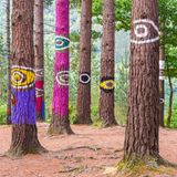 Verschieden angemalte Baumstämme in einem Wald