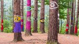 Verschieden angemalte Baumstämme in einem Wald