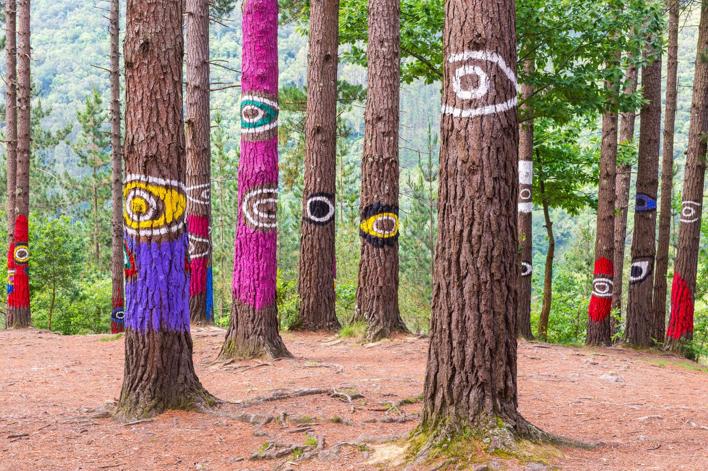 Verschieden angemalte Baumstämme in einem Wald