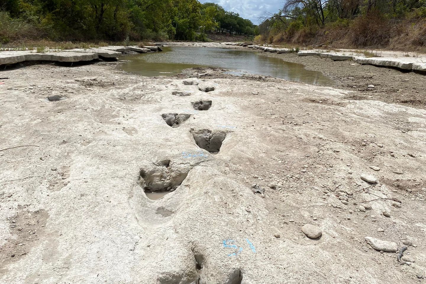 Dinosaurierspuren im Dinosaur Valley State Park