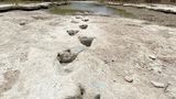 Dinosaurierspuren im Dinosaur Valley State Park