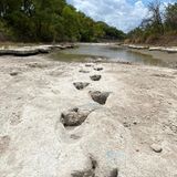 Dinosaurierspuren im Dinosaur Valley State Park