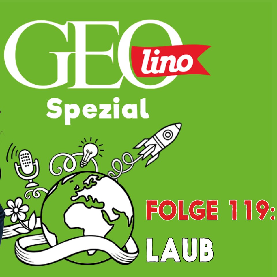 In Folge 119 unseres GEOlino-Podcasts geht es um Laub
