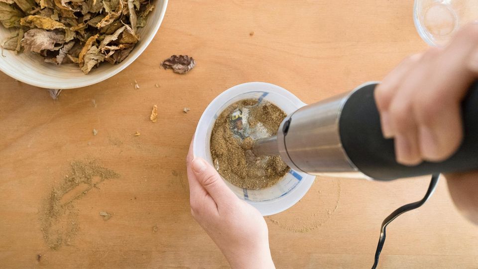 Laubblätter, Zeitungspapier und Wasser werden in einem Messbecher mit einem Pürierstab gemixt.