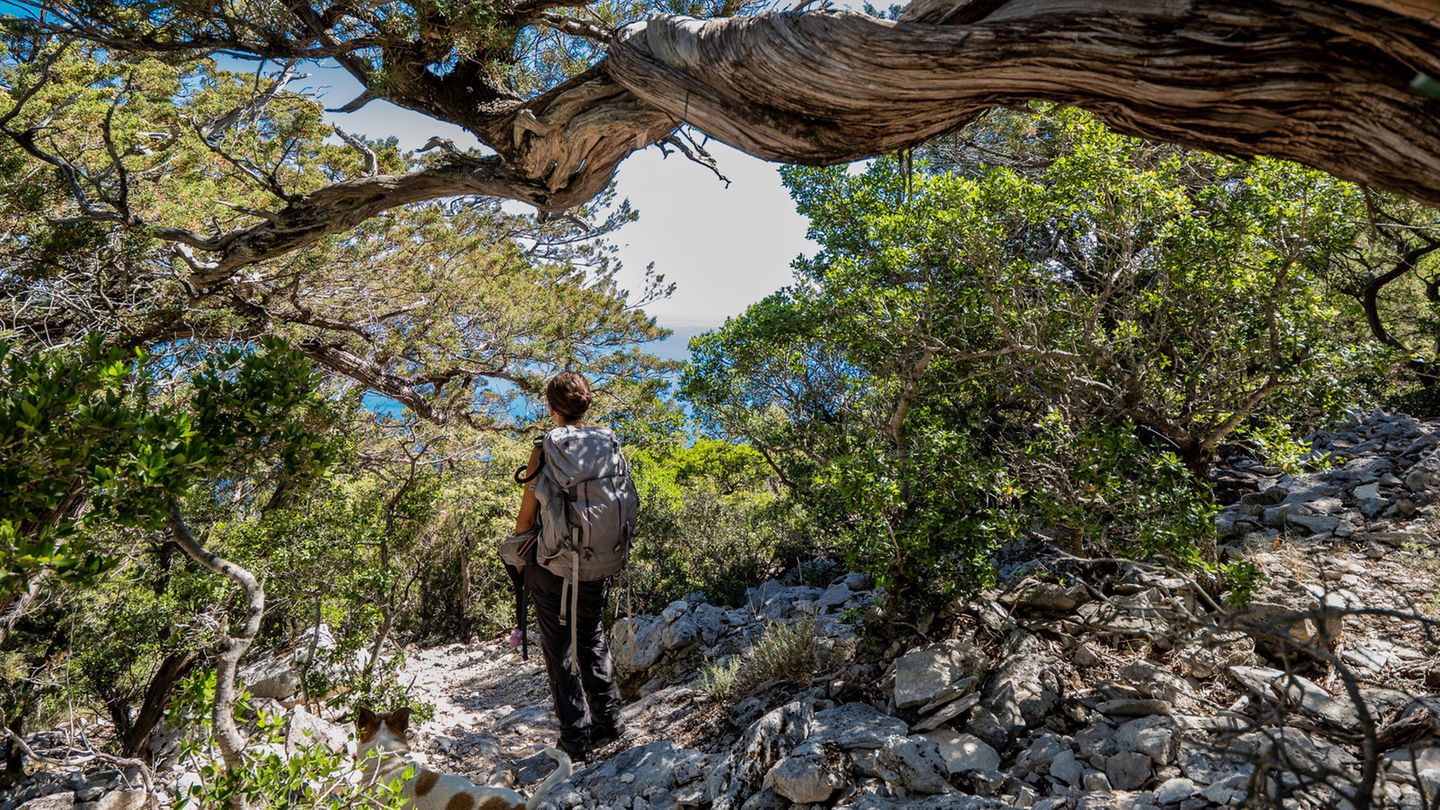 Wanderin auf dem Selvaggio Blu auf Sardinien