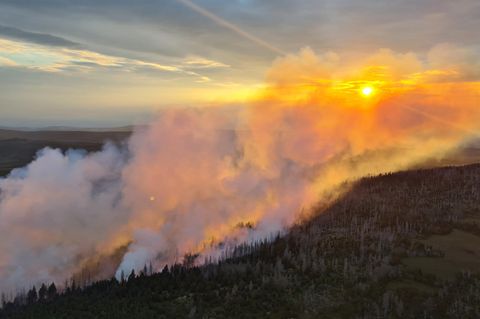 Lichterloh brennt der Wald in einem gesperrten Teil um einen Gipfel im Nationalpark Harz, auf diesem zur Verfügung gestellten Bild, von einem Hubschrauber der Bundespolizei aus gesehen