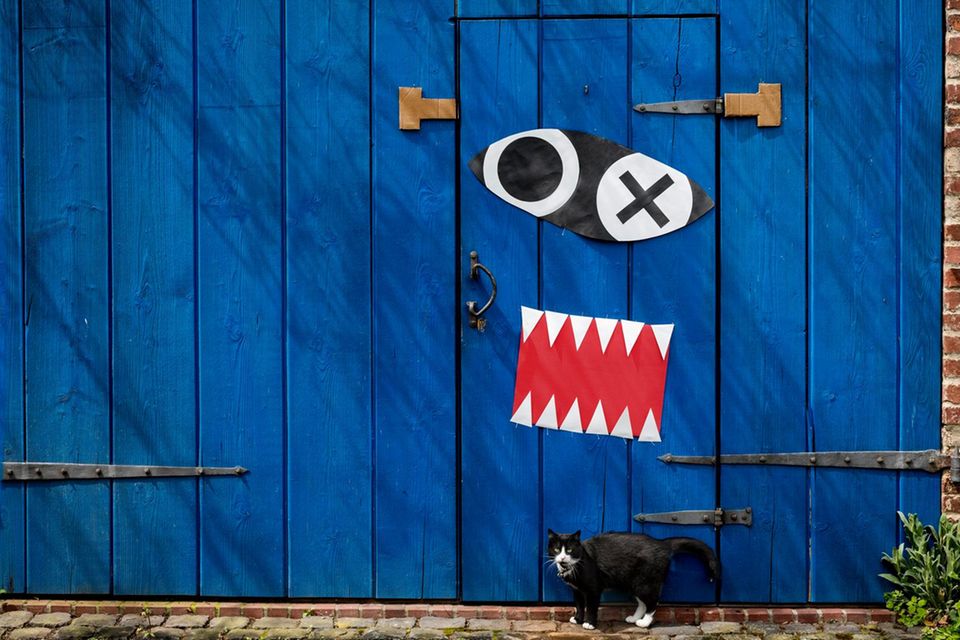 Eine blaue Tür, darauf sind Zähne und Augen aus Papier zu sehen. Eine schwarz-weiße Katze steht unten davor.