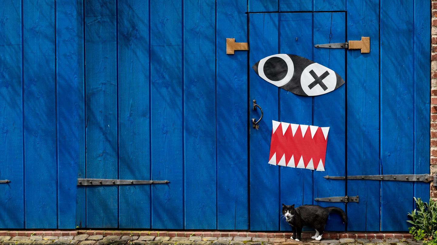 Eine blaue Tür, darauf sind Zähne und Augen aus Papier zu sehen. Eine schwarz-weiße Katze steht unten davor.