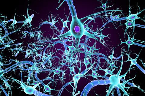 Für die Entwicklung einer tiefen Schwermut spielt nach Ansicht vieler Wissenschaftler*innen eine gestörte Signalübertragung zwischen Nervenzellen im Gehirn eine Rolle. Doch die Schaltkreise der beteiligten Botenstoffe genau zu durchdringen ist schwierig: Forschende suchen den zentralen Hebel in diesen Schaltkreisen, nicht zuletzt, um bessere Pharmakotherapien zu entwickeln   