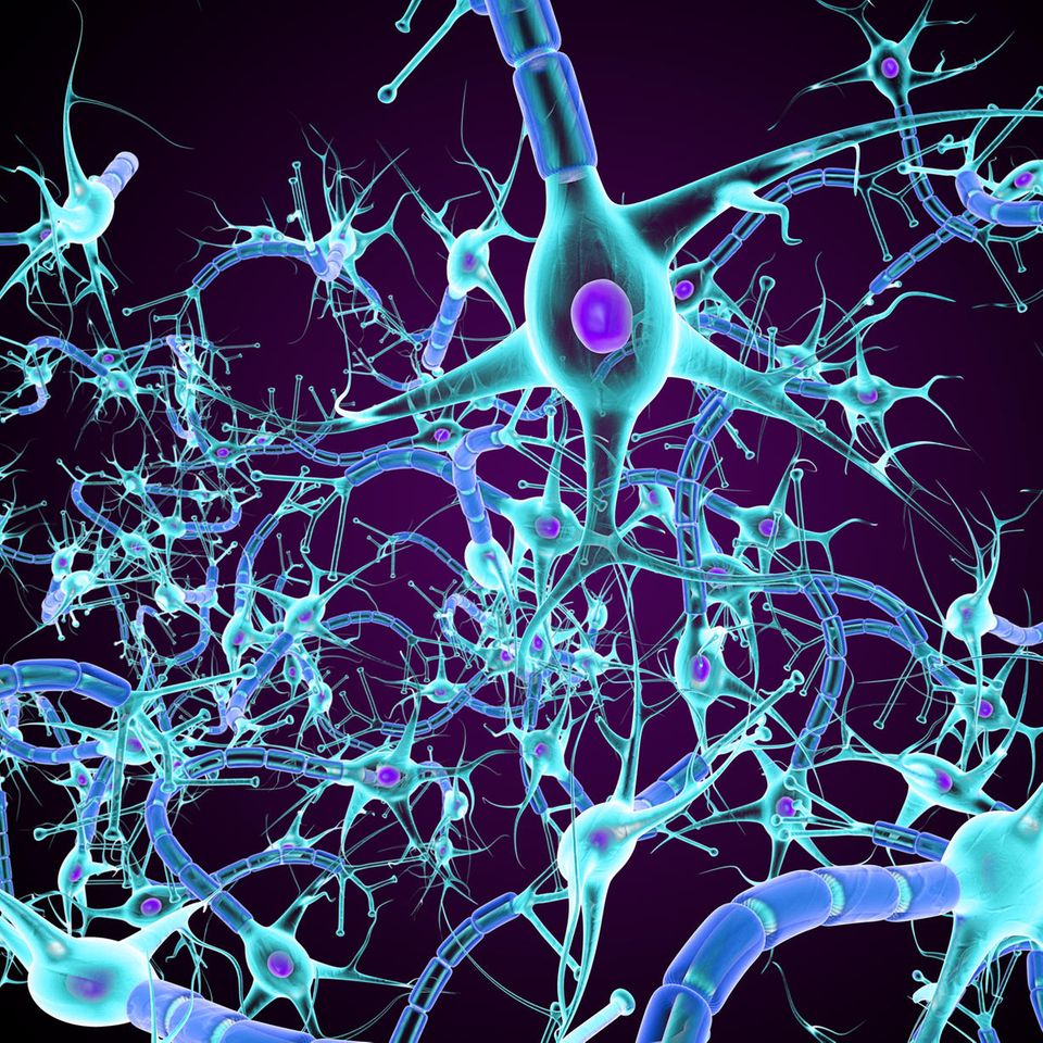 Für die Entwicklung einer tiefen Schwermut spielt nach Ansicht vieler Wissenschaftler*innen eine gestörte Signalübertragung zwischen Nervenzellen im Gehirn eine Rolle. Doch die Schaltkreise der beteiligten Botenstoffe genau zu durchdringen ist schwierig: Forschende suchen den zentralen Hebel in diesen Schaltkreisen, nicht zuletzt, um bessere Pharmakotherapien zu entwickeln   