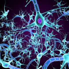 Für die Entwicklung einer tiefen Schwermut spielt nach Ansicht vieler Wissenschaftler*innen eine gestörte Signalübertragung zwischen Nervenzellen im Gehirn eine Rolle. Doch die Schaltkreise der beteiligten Botenstoffe genau zu durchdringen ist schwierig: Forschende suchen den zentralen Hebel in diesen Schaltkreisen, nicht zuletzt, um bessere Pharmakotherapien zu entwickeln   