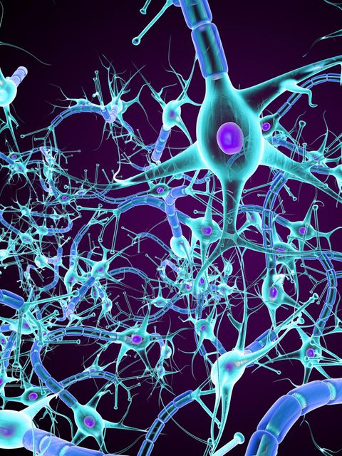 Für die Entwicklung einer tiefen Schwermut spielt nach Ansicht vieler Wissenschaftler*innen eine gestörte Signalübertragung zwischen Nervenzellen im Gehirn eine Rolle. Doch die Schaltkreise der beteiligten Botenstoffe genau zu durchdringen ist schwierig: Forschende suchen den zentralen Hebel in diesen Schaltkreisen, nicht zuletzt, um bessere Pharmakotherapien zu entwickeln   