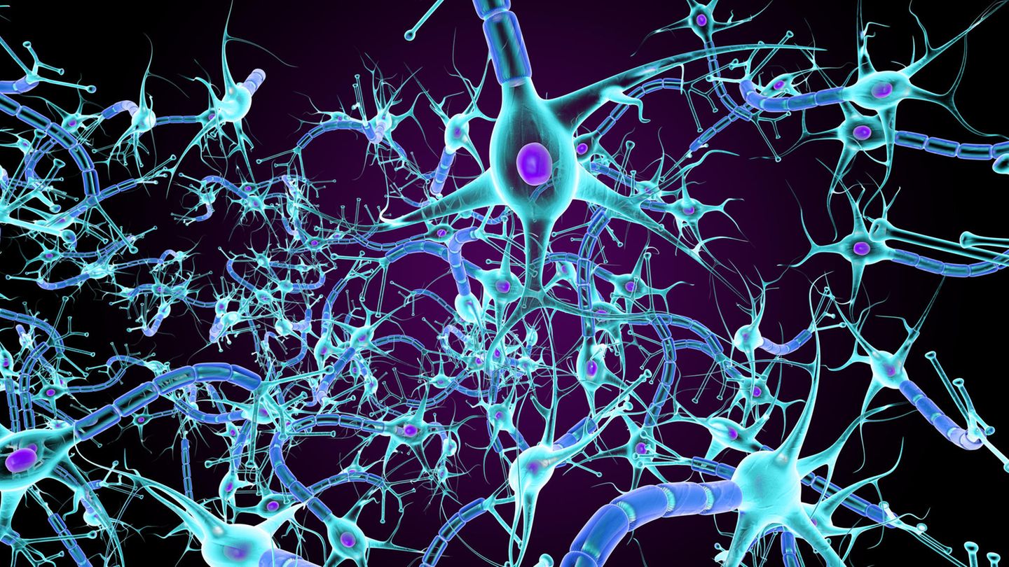 Für die Entwicklung einer tiefen Schwermut spielt nach Ansicht vieler Wissenschaftler*innen eine gestörte Signalübertragung zwischen Nervenzellen im Gehirn eine Rolle. Doch die Schaltkreise der beteiligten Botenstoffe genau zu durchdringen ist schwierig: Forschende suchen den zentralen Hebel in diesen Schaltkreisen, nicht zuletzt, um bessere Pharmakotherapien zu entwickeln   