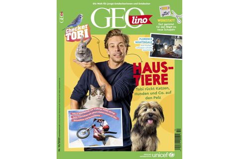 GEOlino Magazin: Haustiere