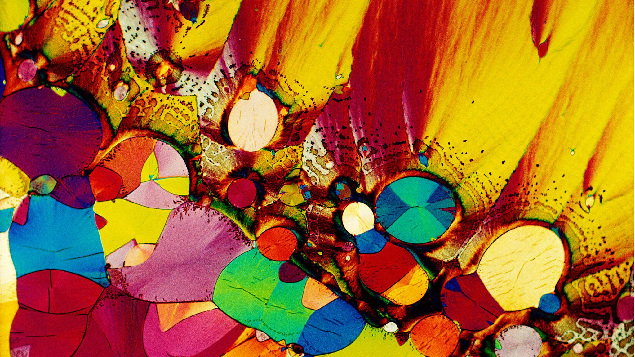 Mikroskopische Aufnahme des Neurotransmitters Serotonin 