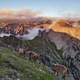 Das Karwendel ist einer der schönsten Wanderregionen in Deutschland