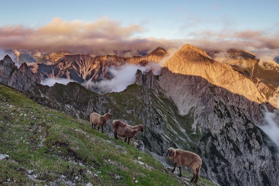 Das Karwendel ist einer der schönsten Wanderregionen in Deutschland