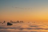 Flamingos über Abu Dhabi