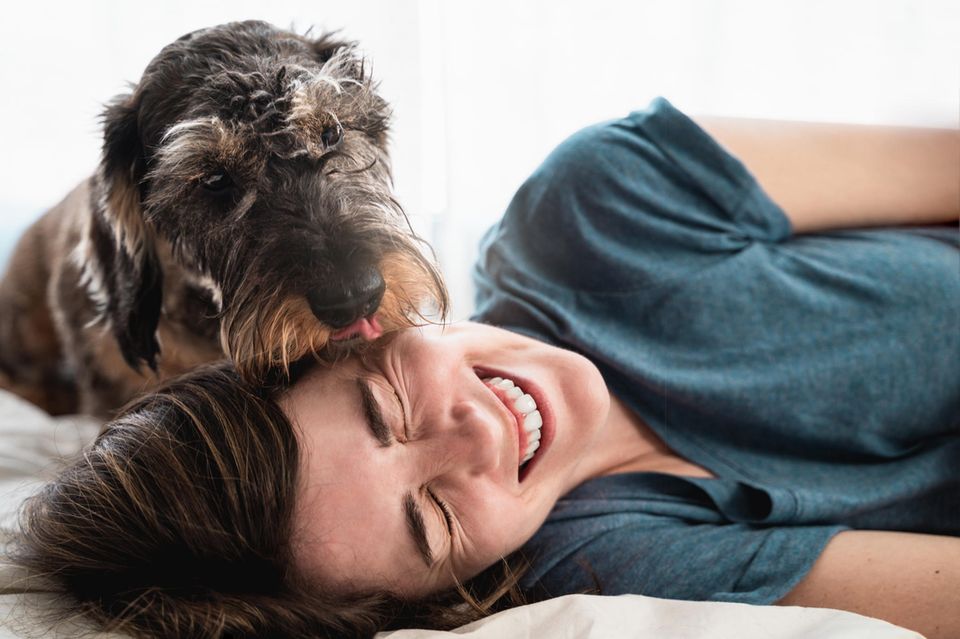 Hund schleckt sein Frauchen ab