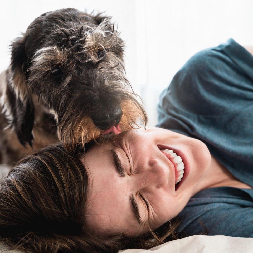 Hund schleckt sein Frauchen ab